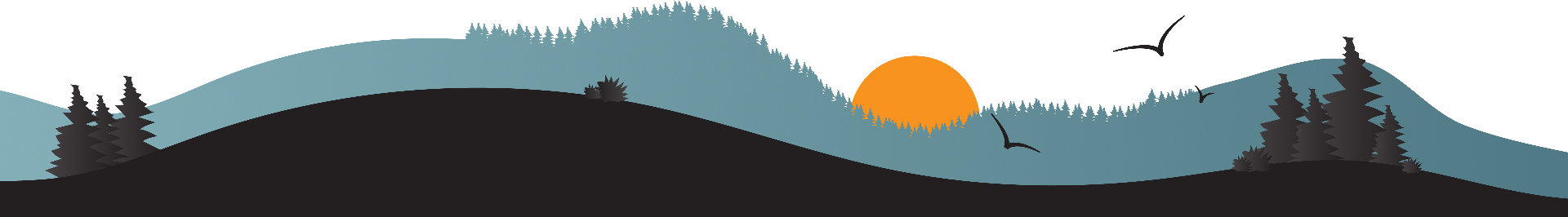 Footer Bg